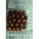 AC3938-Brown