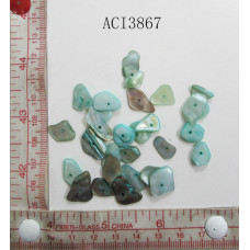 ACI3867