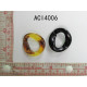 ACI4006