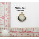 ACI4053