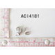 ACI4181