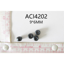 ACI4202