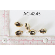 ACI4245