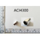 ACI4300