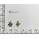 ACI4517.jpg