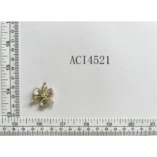 ACI4521-2.jpg