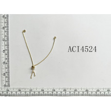 ACI4524-2.jpg