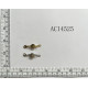ACI4525-2.jpg