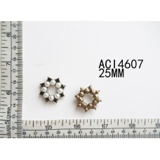 ACI4607.jpg