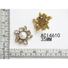 ACI4610.jpg