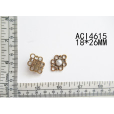 ACI4615.jpg