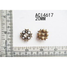 ACI4617.jpg