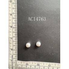 ACI4763.JPG