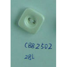 CBB2502