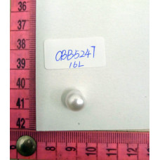CBB5247
