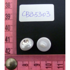CBB5303