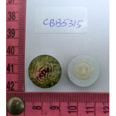 CBB5315