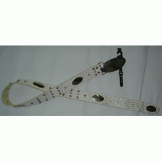 CBT1487