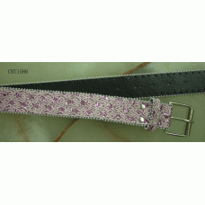 CBT1586