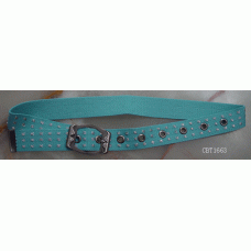 CBT1663