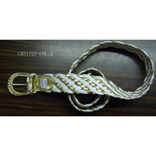 CBT1727-COL2