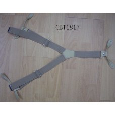 CBT1817