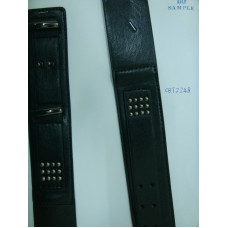 CBT2248