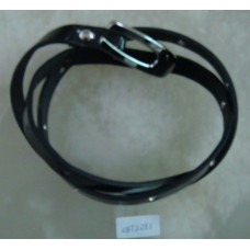 CBT2251