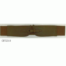 CBT2319