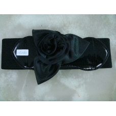 CBT2363