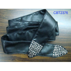 CBT2376
