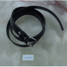 CBT2413