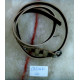 CBT2461col.1