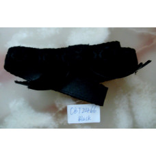 CBT2466.b