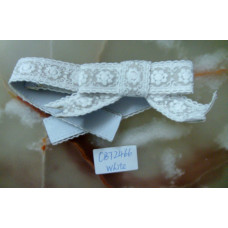 CBT2466.w