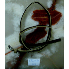 CBT2474col.2
