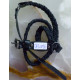 CBT2496