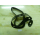 CBT2537
