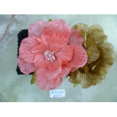 CBT2551.B