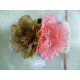 CBT2551.W