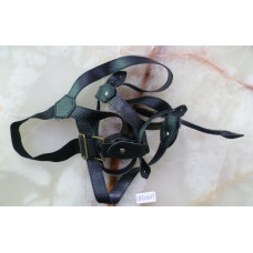 CBT2569