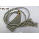 CBT2689