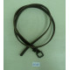 CBT2817