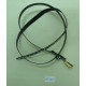 CBT2829
