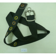 CBT2872