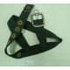 CBT2872