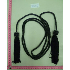 CBT2889