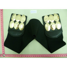 CBT2911