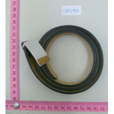 CBT2955