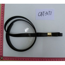 CBT3171